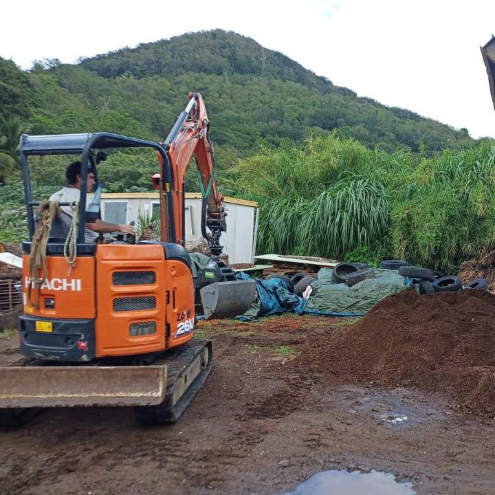 Service d'élagage Guadeloupe