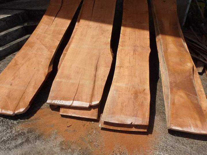 Planche de bois brut de sciage Guadeloupe