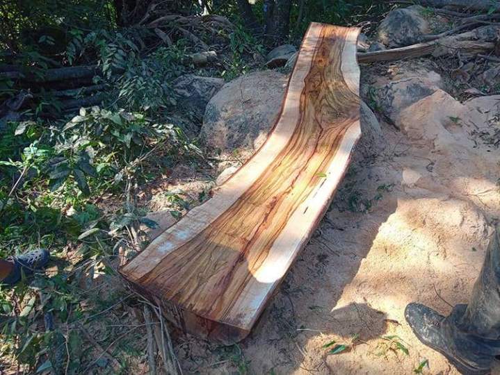 Vente de planche de bois brut de sciage Guadeloupe