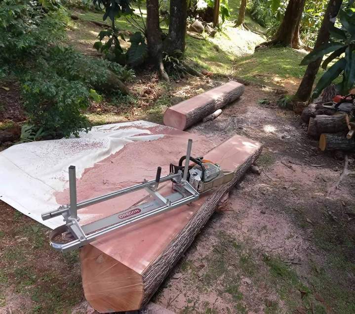 Vente de planche de bois brut de sciage Guadeloupe