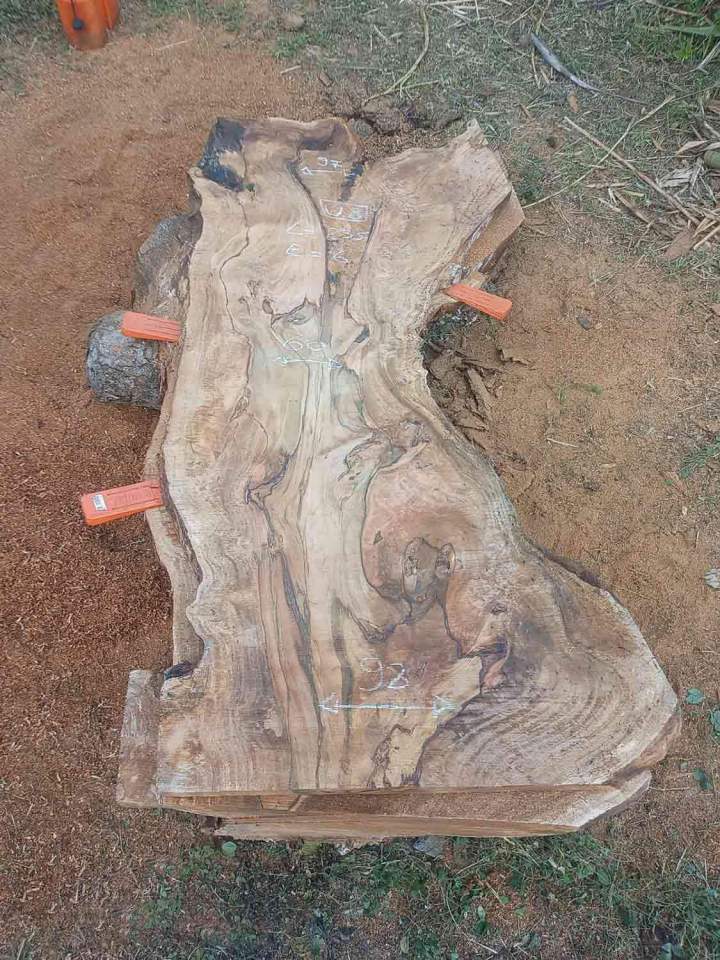 Vente de bois précieux rouges Guadeloupe