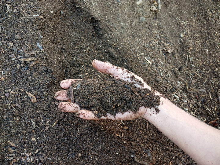 Des produits de qualité pour assurer la croissance des végétaux