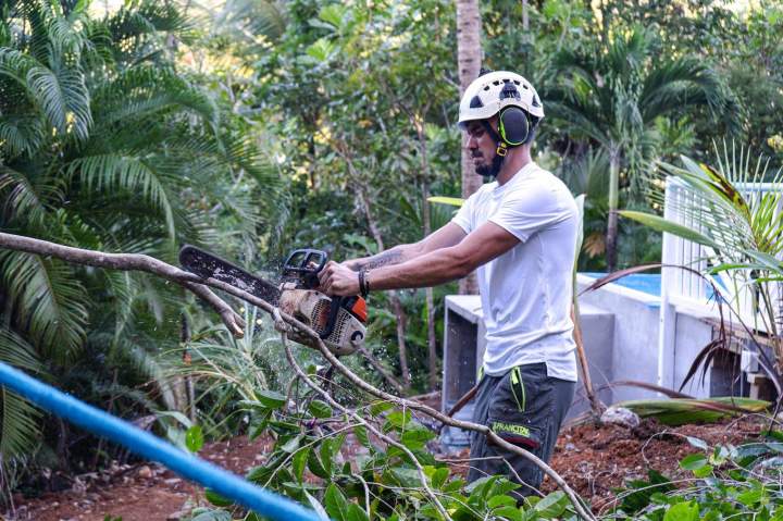 Service d'abattage d’arbres service à la personne Guadeloupe