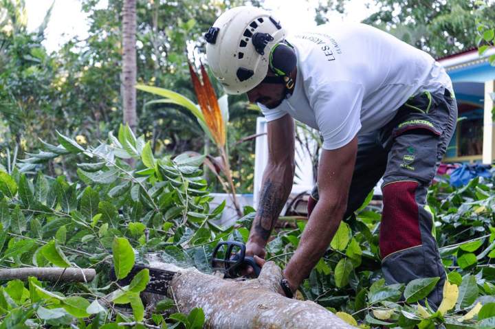 Abattage d’arbres service à la personne Guadeloupe