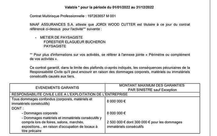 Responsabilité civile professionnelle Guadeloupe