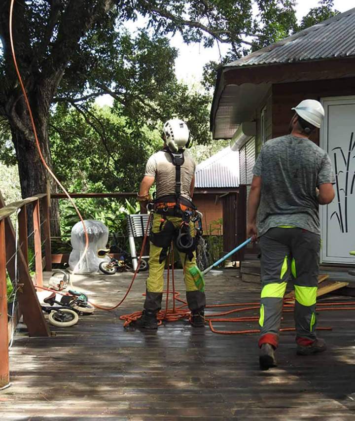 Réduction de branches Guadeloupe